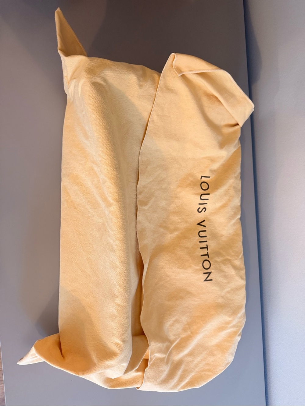 Louis Vuitton Monogram Canvas Shoulder Bag with Natural Vachetta Trim - Picture 7 of 9